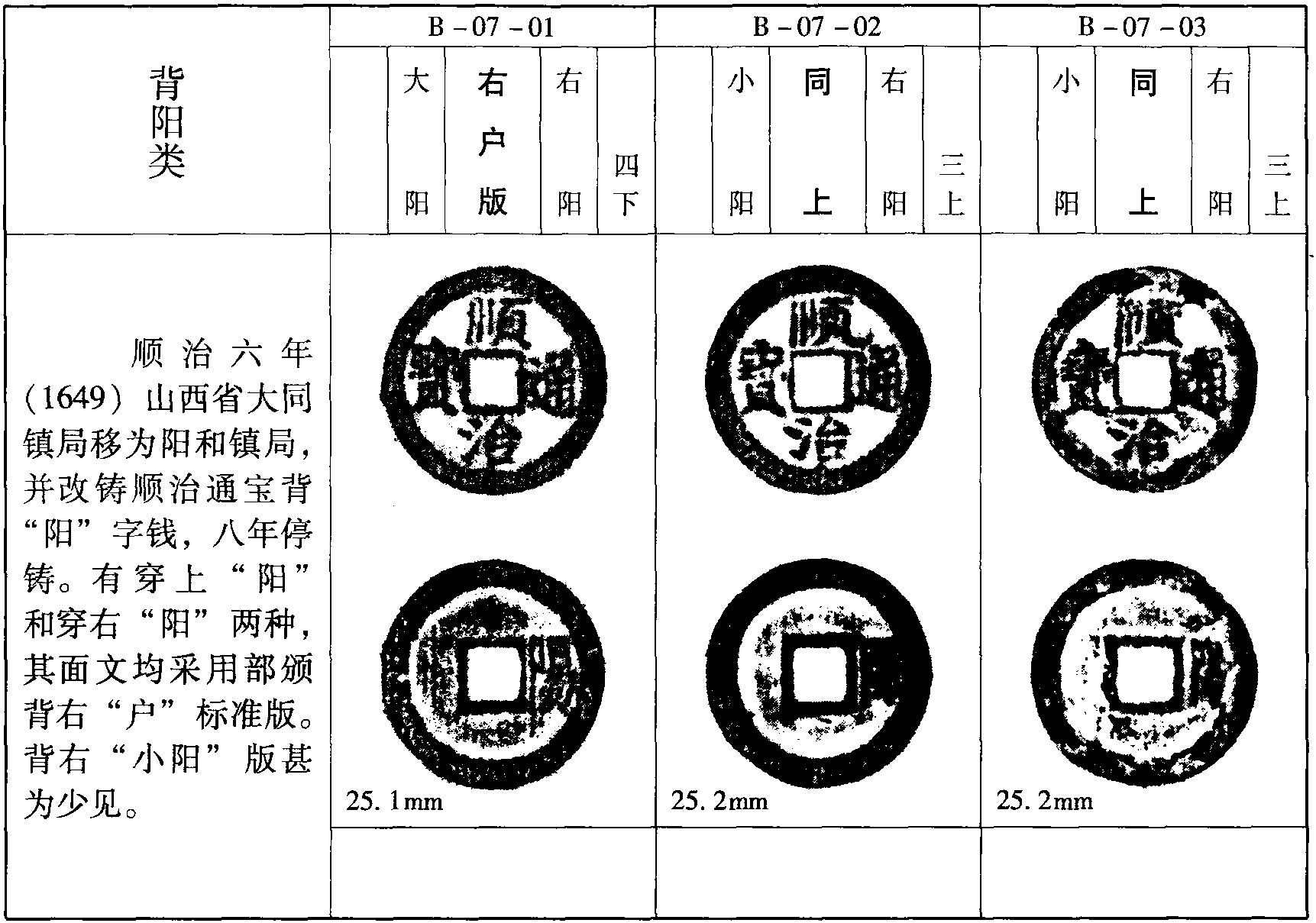 背“陽”類(B-07)